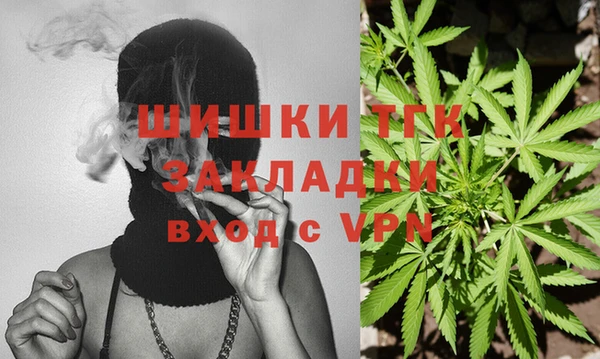 МДПВ Алексин