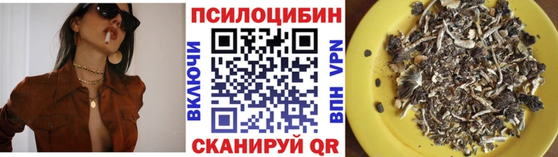 МЕГА как войти  Ядрин  Галлюциногенные грибы Cubensis 