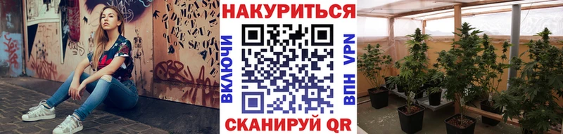 hydra ссылка  Ядрин  площадка состав  купить наркоту  Канабис ГИДРОПОН 